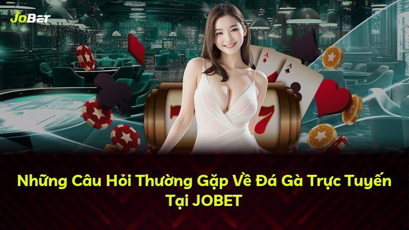 Những Câu Hỏi Thường Gặp Về Đá Gà Trực Tuyến Tại JOBET